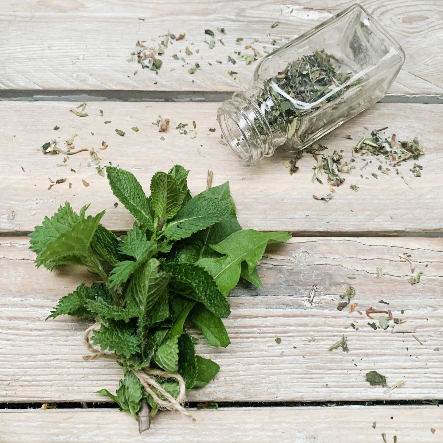 Single Herbs