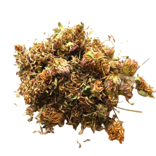 Red Clover image 0