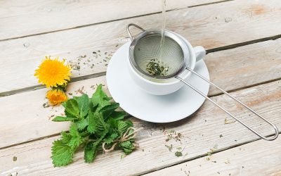 5 Fat Burning Herbal Teas To Support Weightloss!