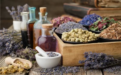 Top 6 Herbs for Healthy Skin, Hair & Nails